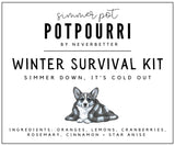 Winter Survival Kit Simmer Pot Potpourri