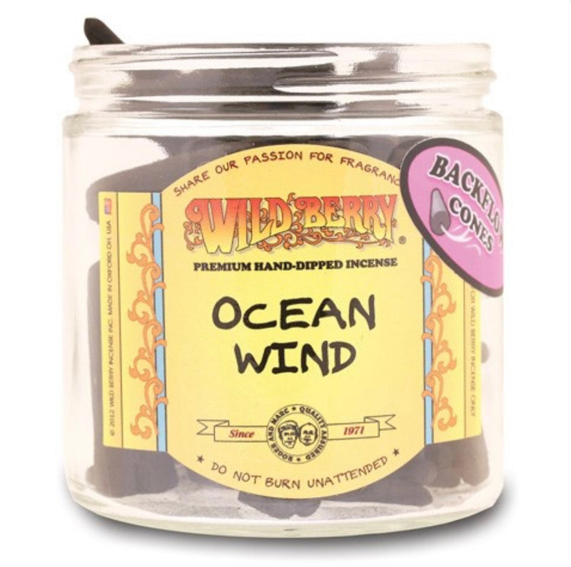 OCEAN WIND